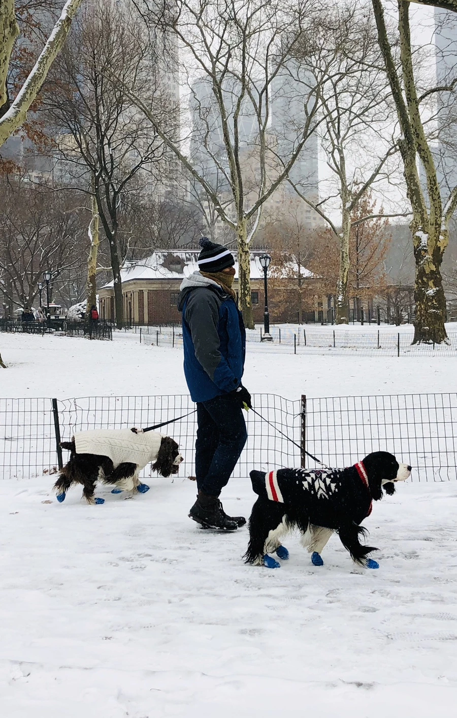 IMG_9544.jpg?type=w966