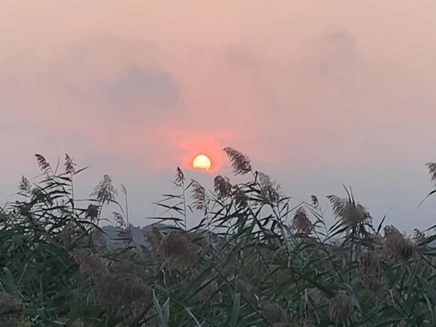 IMG_1096.jpg?type=w966