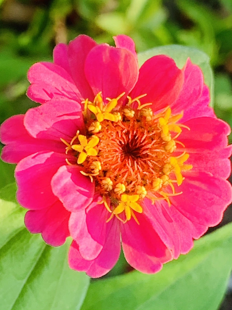 IMG_8281.jpg?type=w966