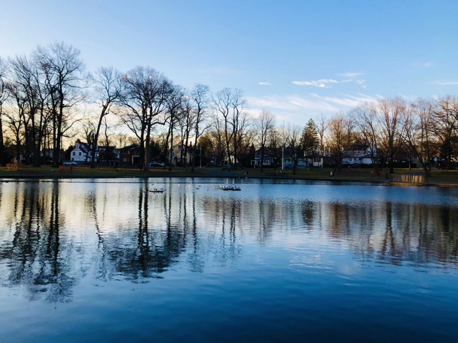 IMG_0793.jpg?type=w966