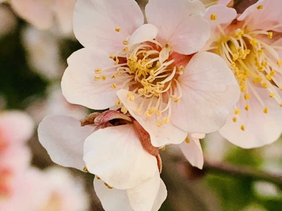 IMG_2829.jpg?type=w966