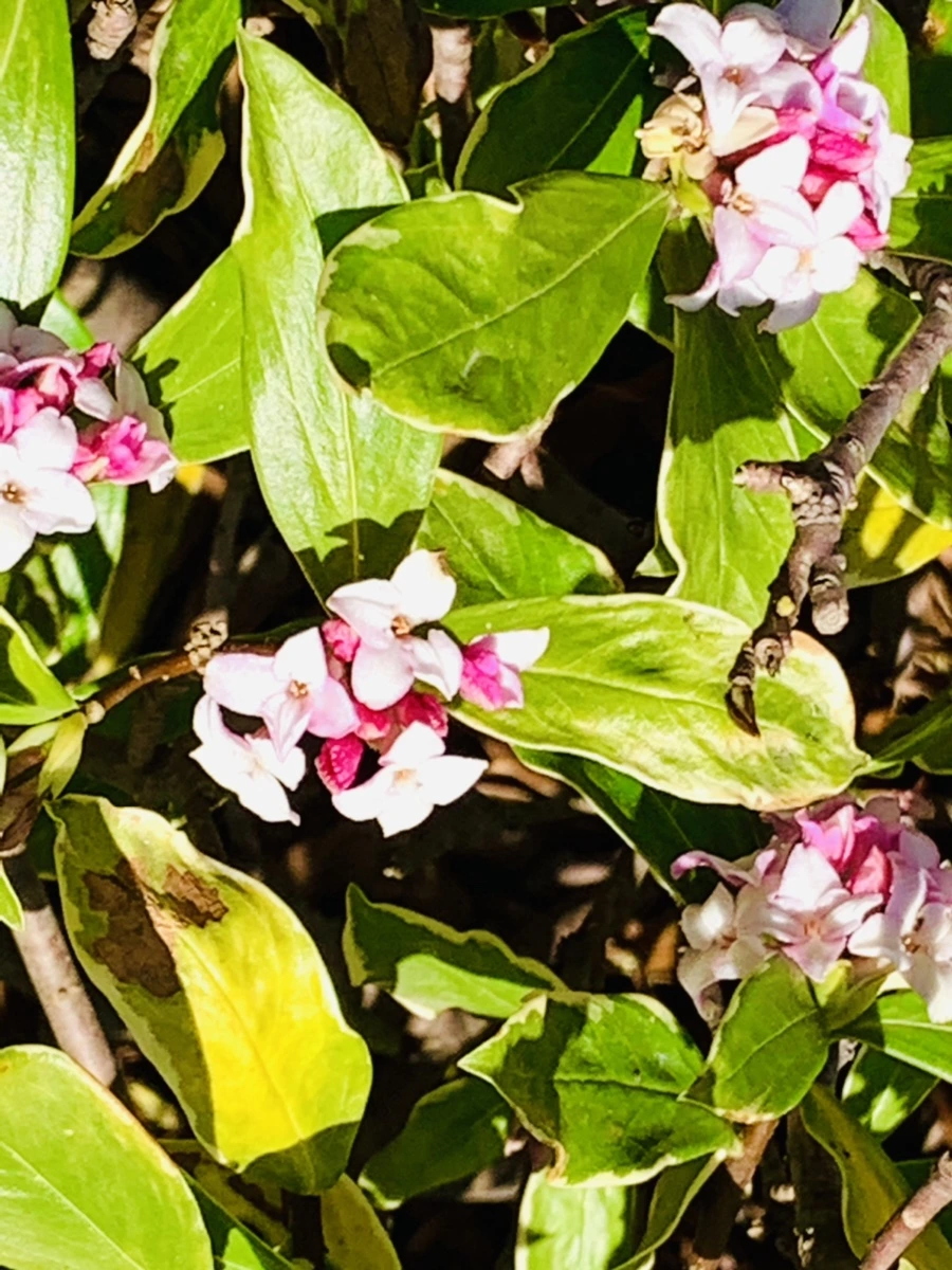 IMG_5776.jpg?type=w966