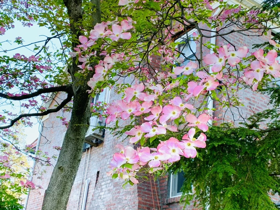 IMG_0543.jpg?type=w966