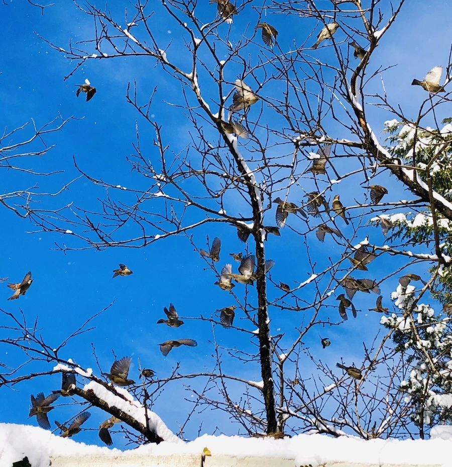 IMG_6973.jpg?type=w966