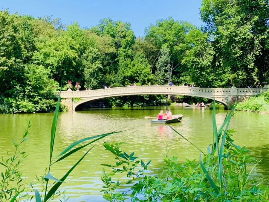 IMG_4473.jpg?type=w966