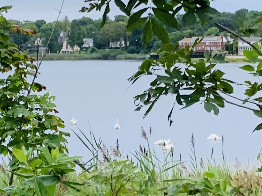 IMG_6167.jpg?type=w966