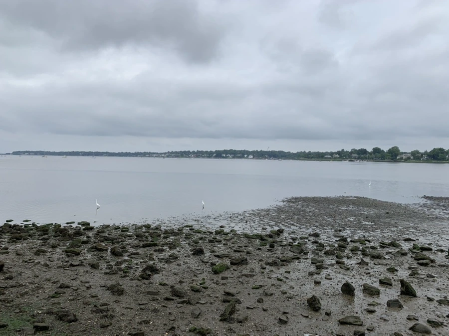 IMG_3698.jpg?type=w966