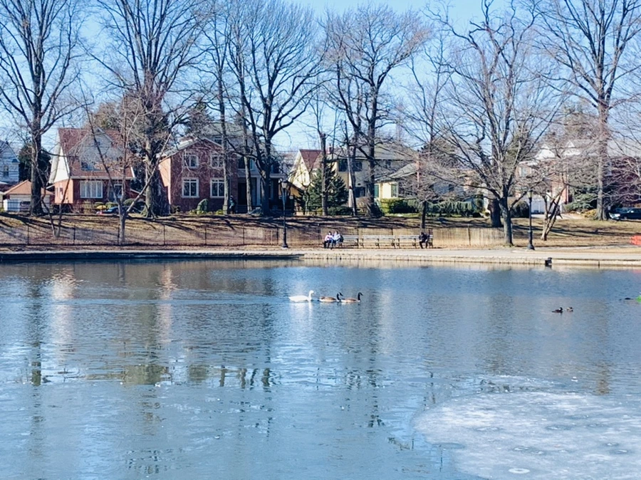 IMG_6913.jpg?type=w966