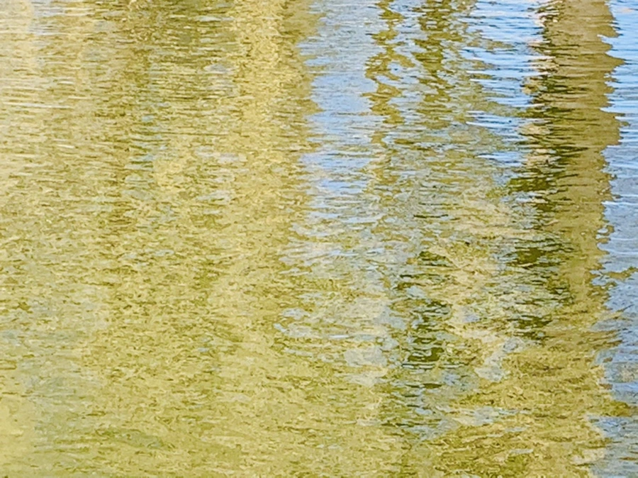 IMG_3083.jpg?type=w966