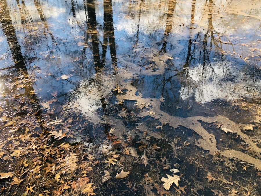 IMG_9216.jpg?type=w966