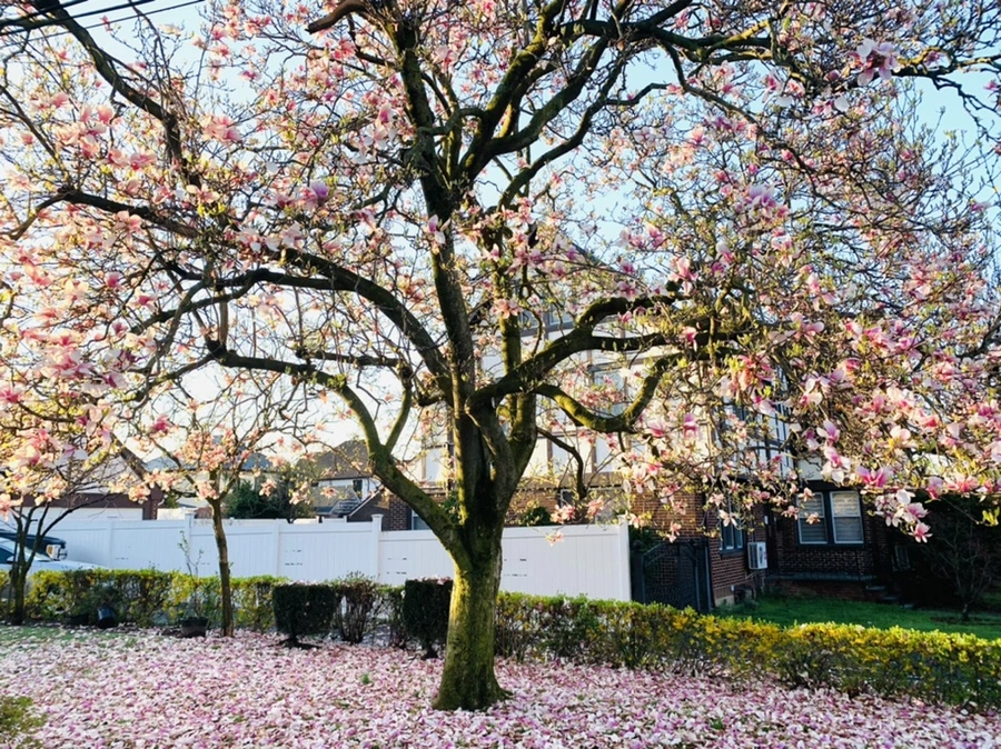 IMG_2423.jpg?type=w966