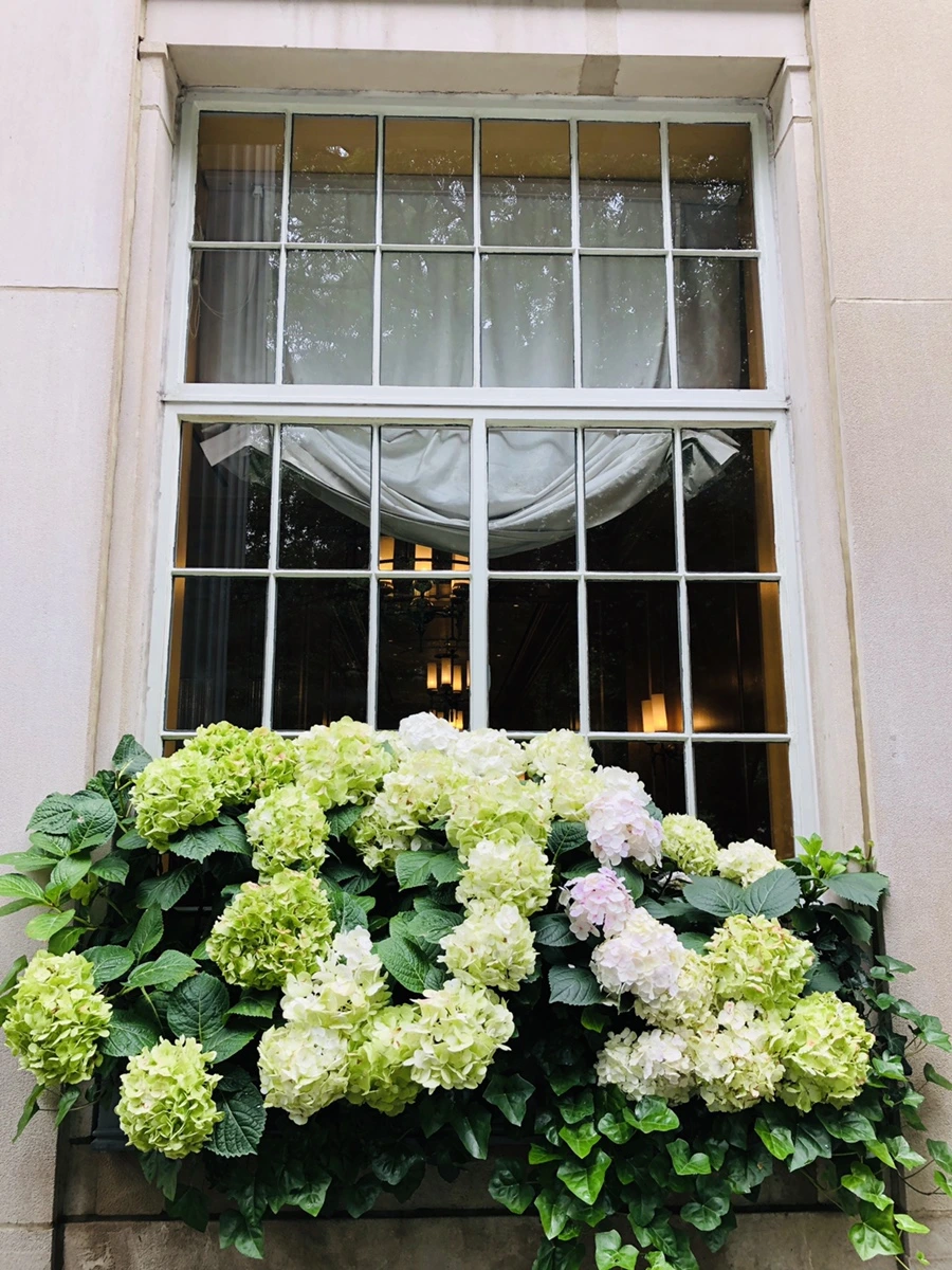 IMG_5344.jpg?type=w966