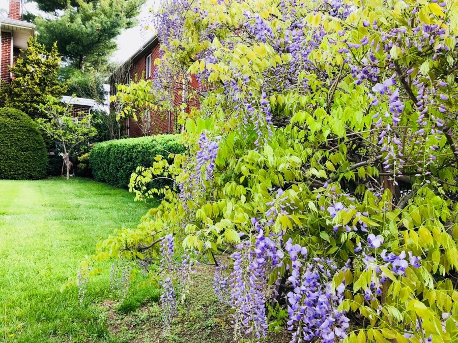 IMG_5583.jpg?type=w966