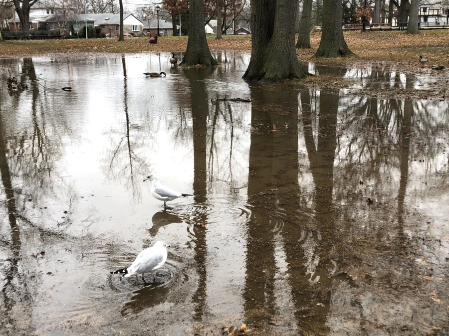 IMG_9485.jpg?type=w966