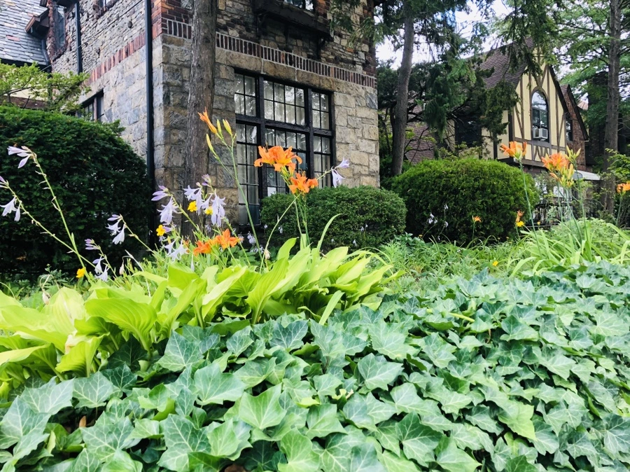 IMG_2988.jpg?type=w966