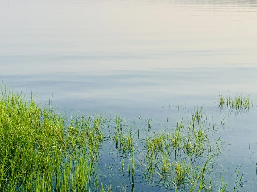 IMG_6452.jpg?type=w966