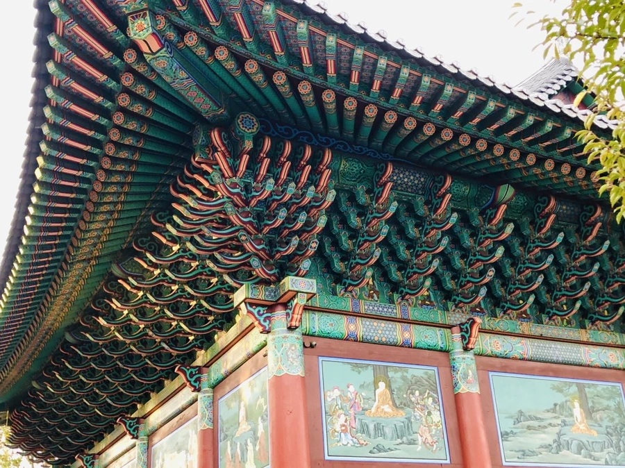 IMG_3414.jpg?type=w966