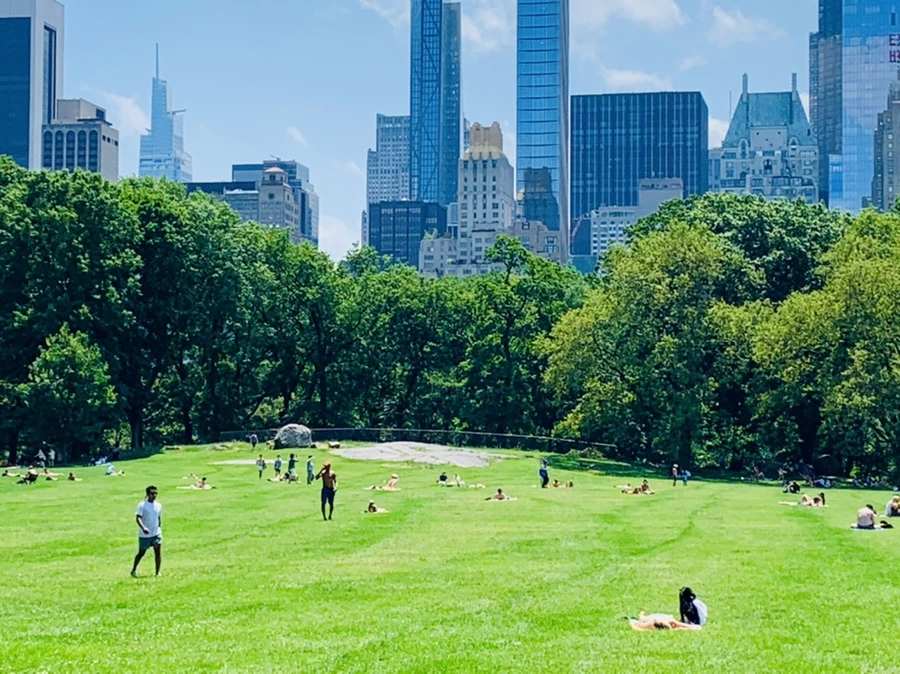 IMG_5379.jpg?type=w966