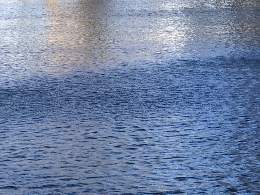 IMG_3815.jpg?type=w966