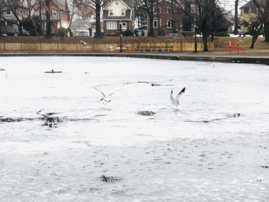 IMG_5614.jpg?type=w966