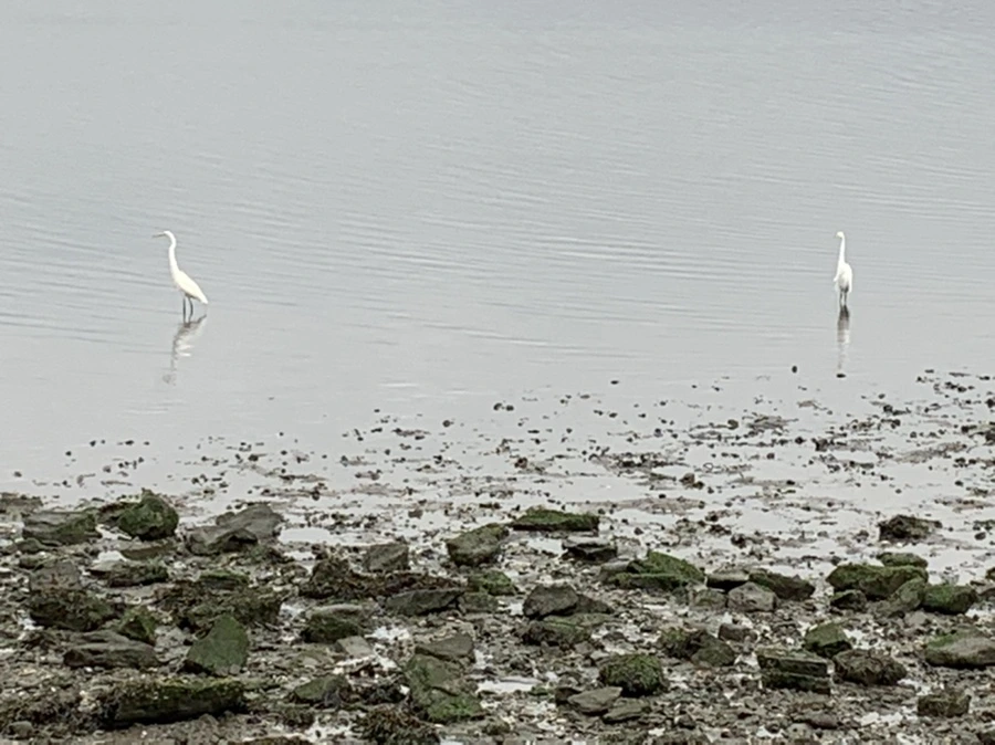 IMG_3689.jpg?type=w966