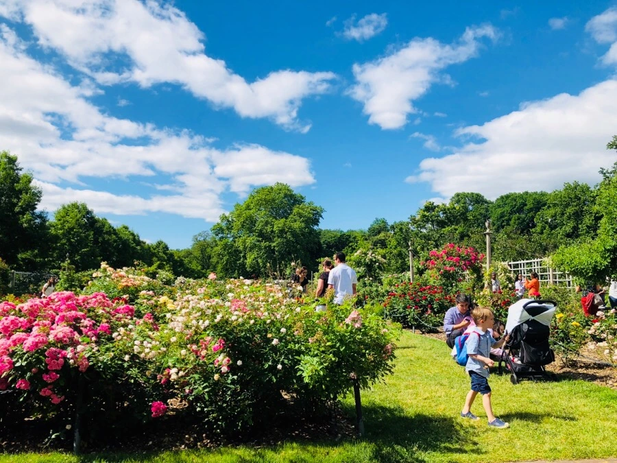 IMG_7854.jpg?type=w966