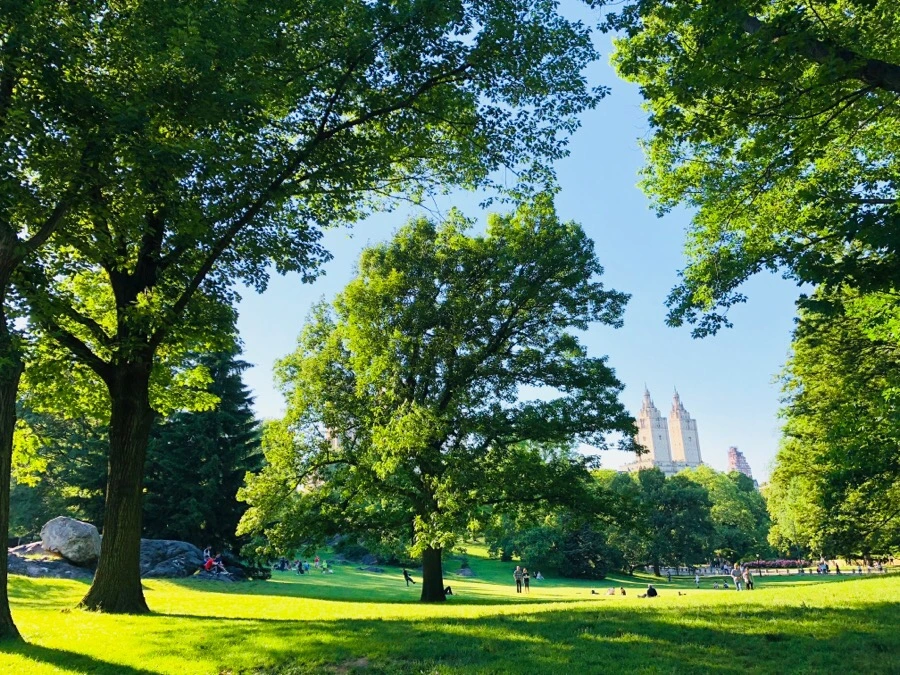 IMG_7587.jpg?type=w966