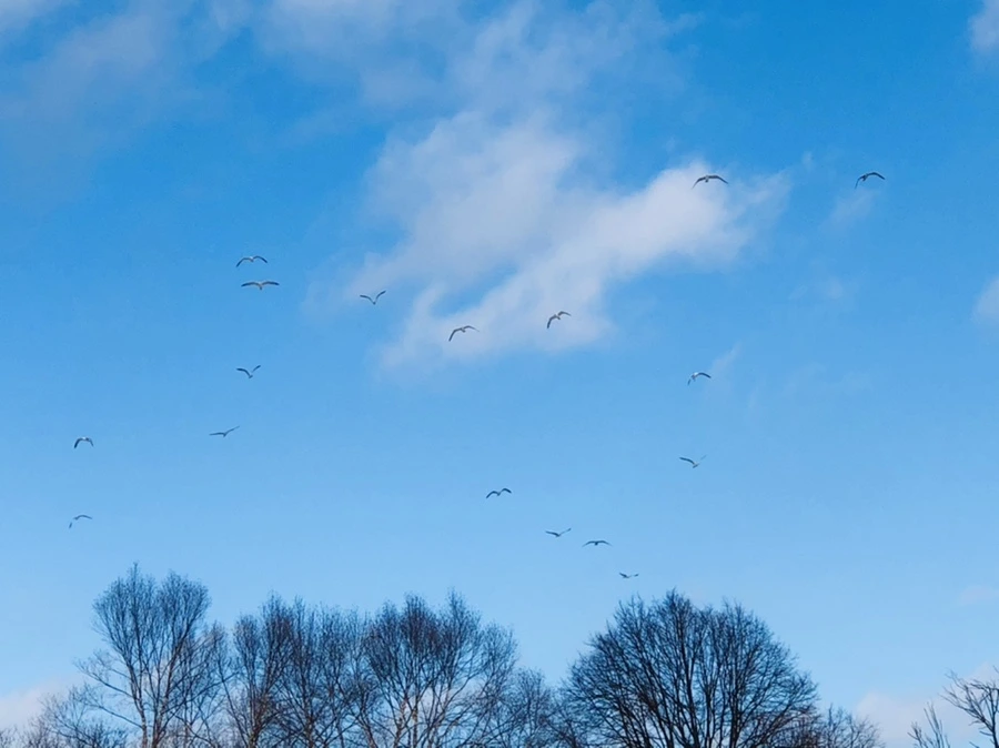 IMG_2855.jpg?type=w966