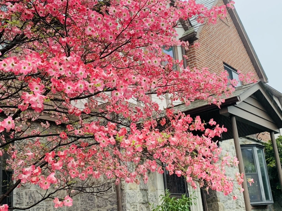 IMG_5328.jpg?type=w966