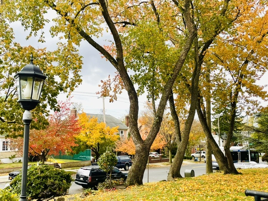 IMG_2501.jpg?type=w966