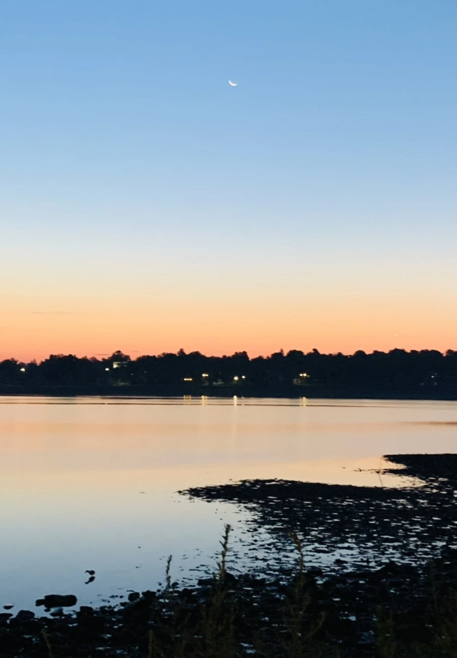 IMG_7010.jpg?type=w966