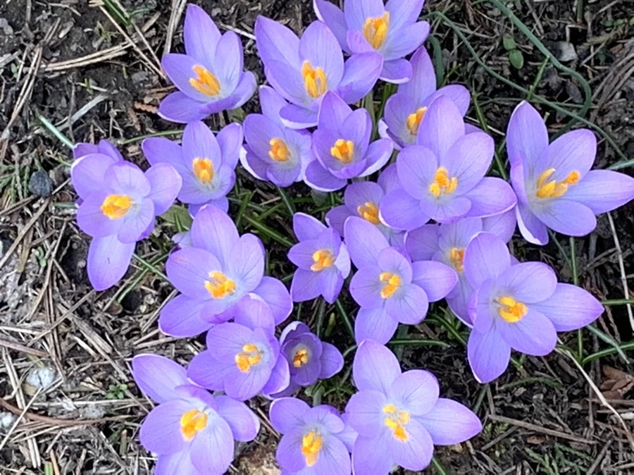 IMG_0212.jpg?type=w966