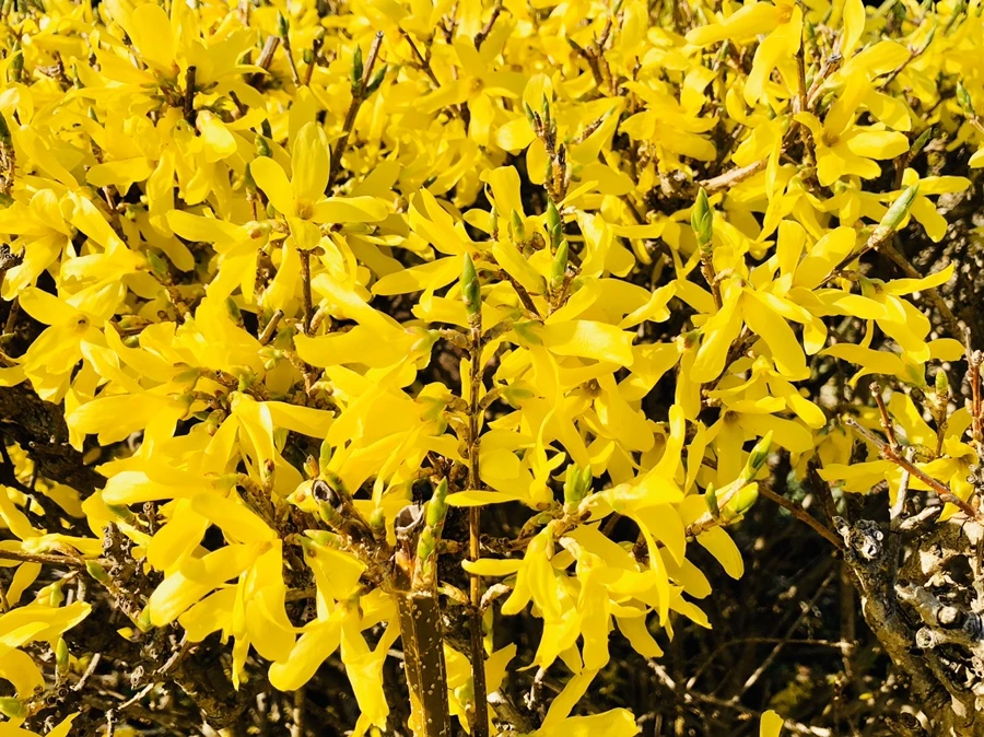 IMG_6398.jpg?type=w966