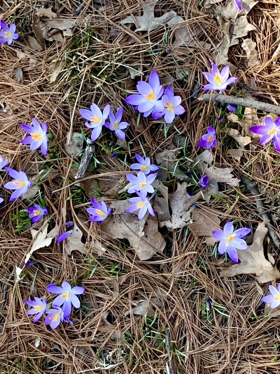 IMG_9763.jpg?type=w966