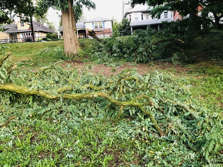 IMG_5844.jpg?type=w966