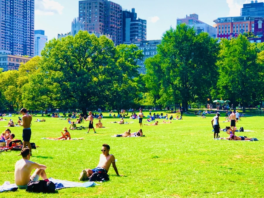 IMG_9340.jpg?type=w966