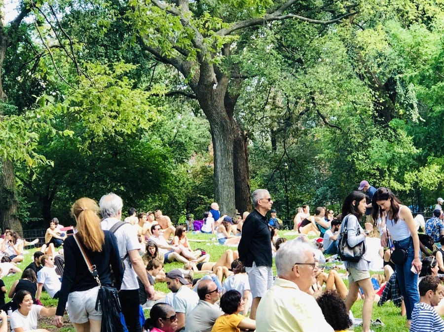 IMG_9386.jpg?type=w966