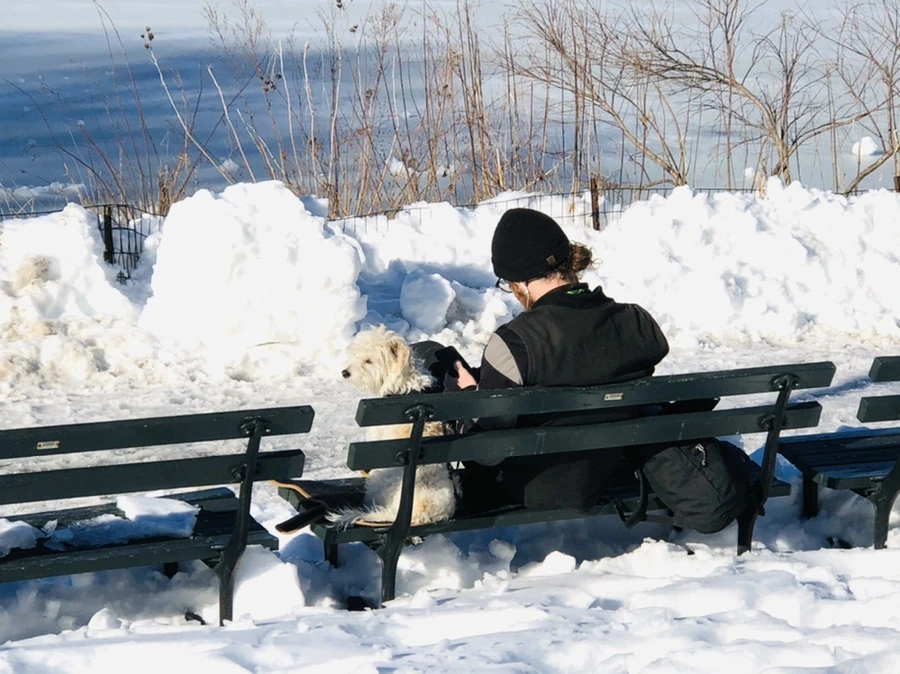 IMG_9878.jpg?type=w966