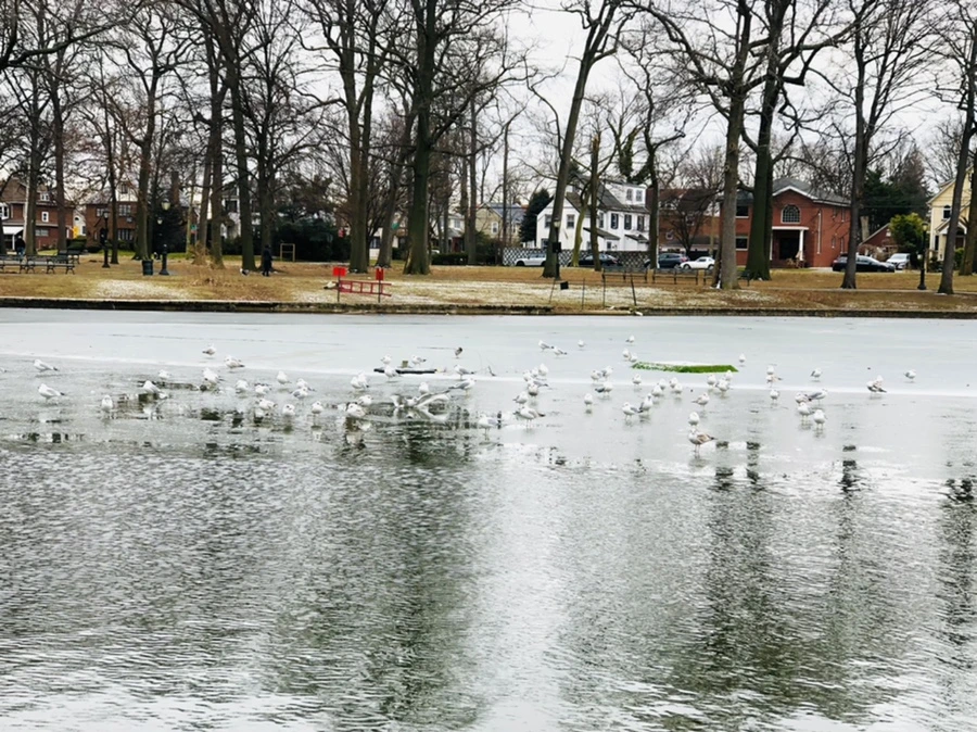 IMG_6397.jpg?type=w966