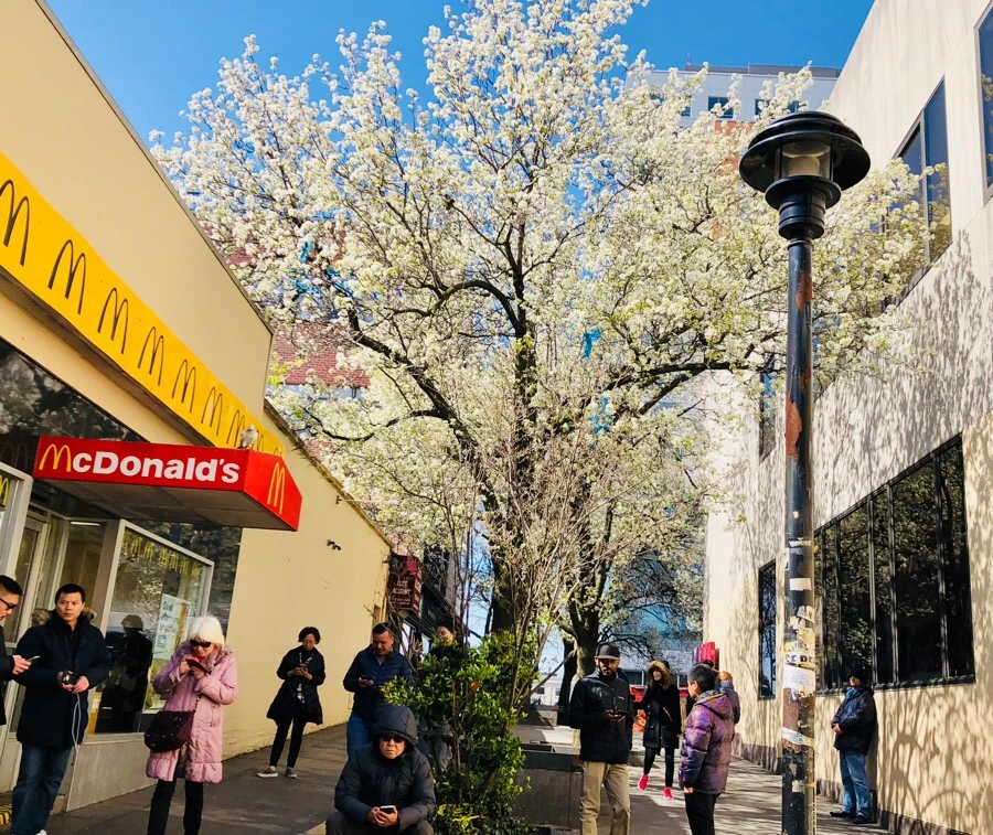 IMG_4595.jpg?type=w966