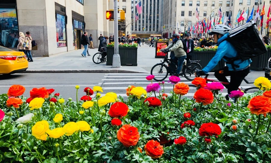 IMG_4257.jpg?type=w966