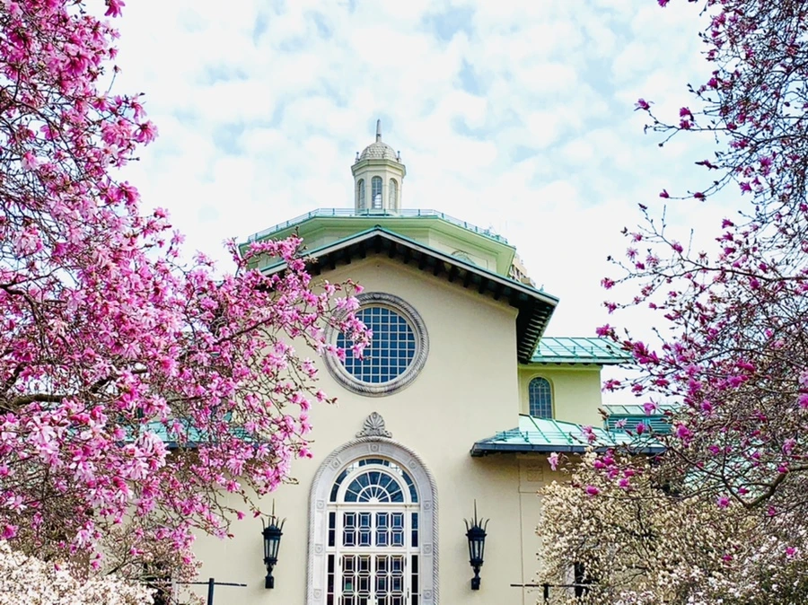 IMG_7240.jpg?type=w966