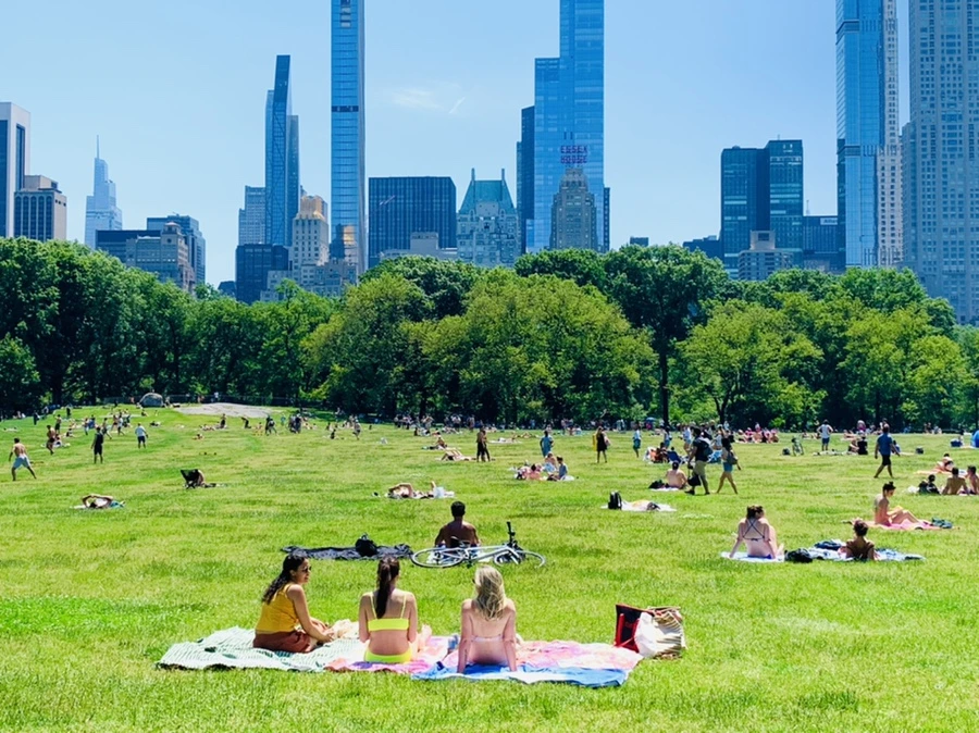 IMG_1011.jpg?type=w966