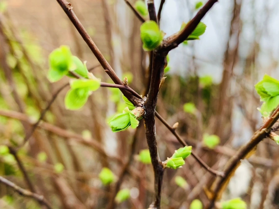 IMG_5357.jpg?type=w966