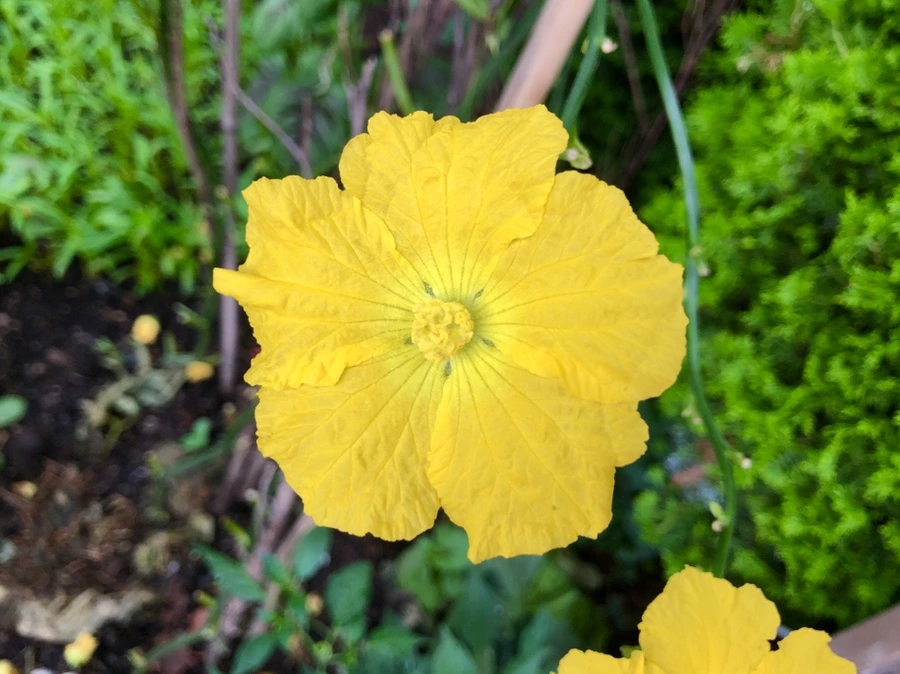 IMG_4167.jpg?type=w966