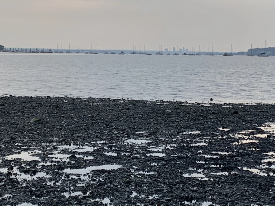 IMG_8206.jpg?type=w966