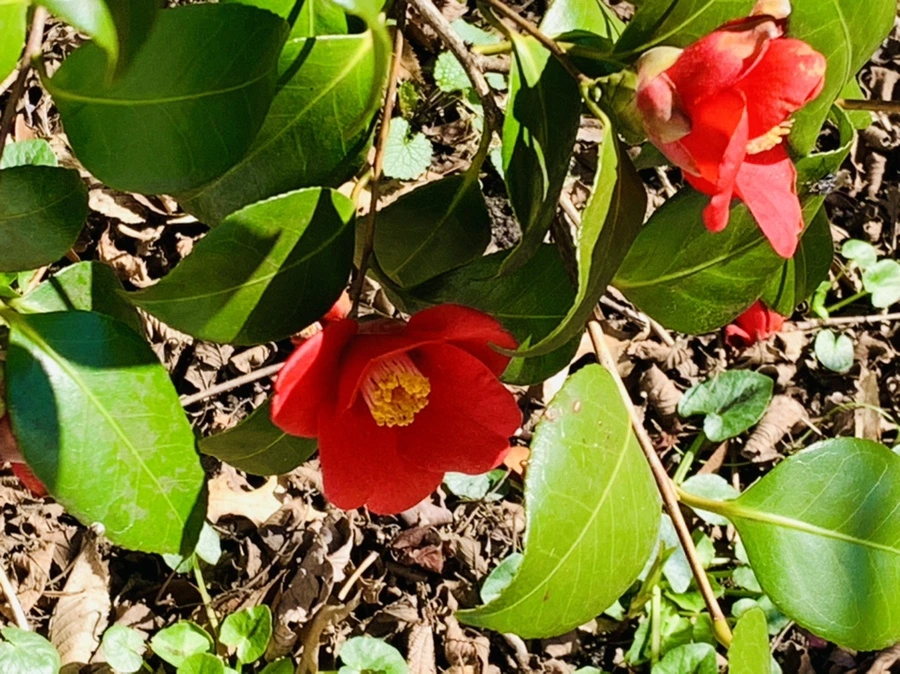 IMG_5726.jpg?type=w966