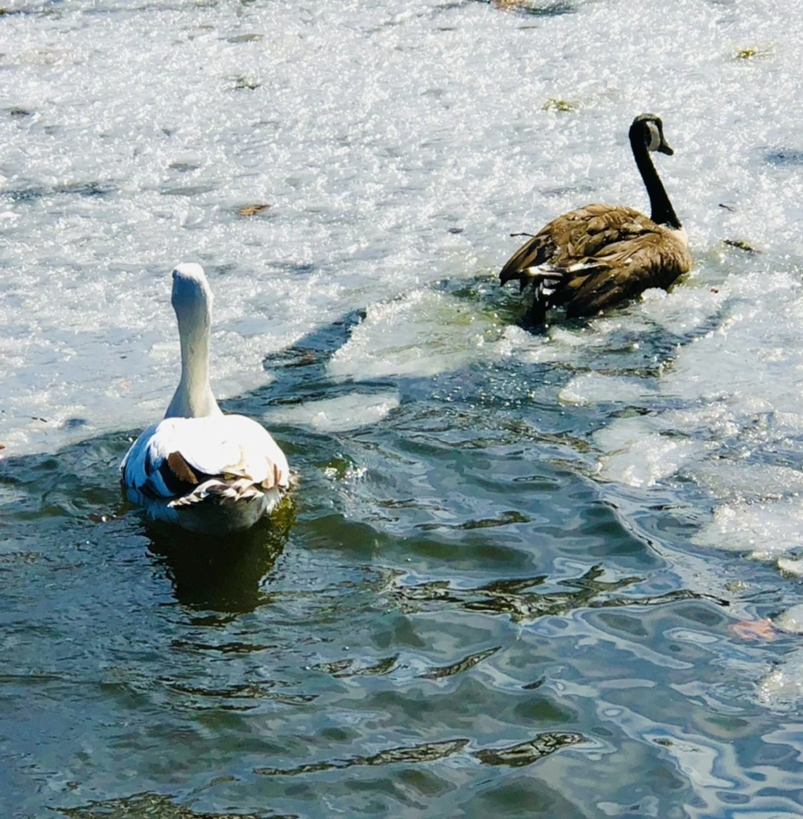 IMG_5407.jpg?type=w966