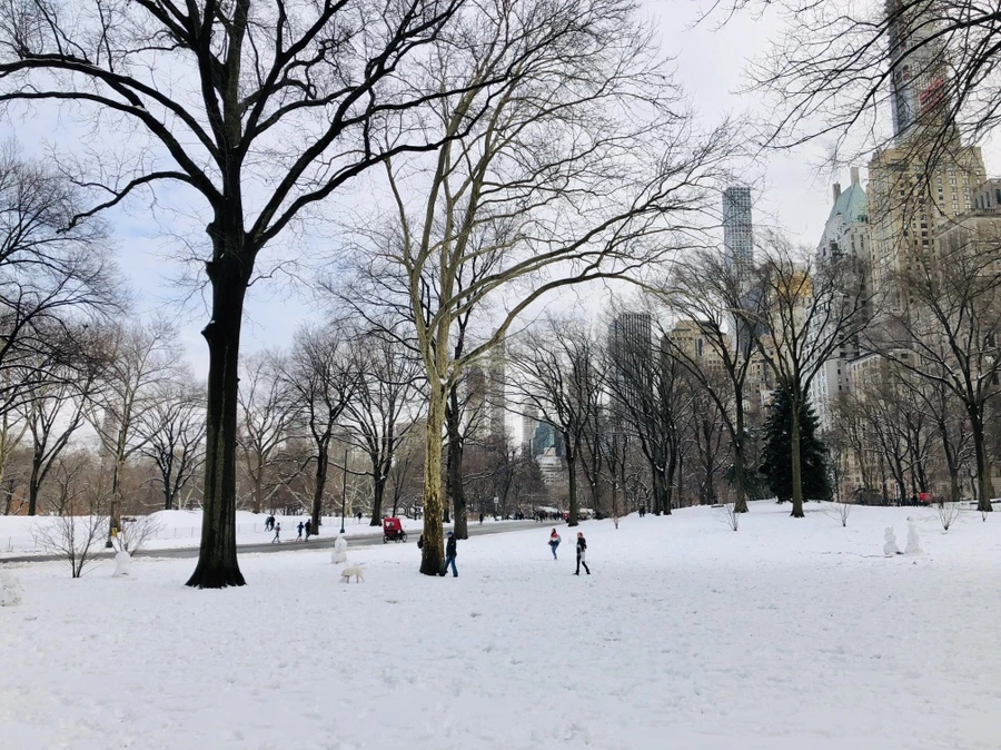 IMG_0399.jpg?type=w966