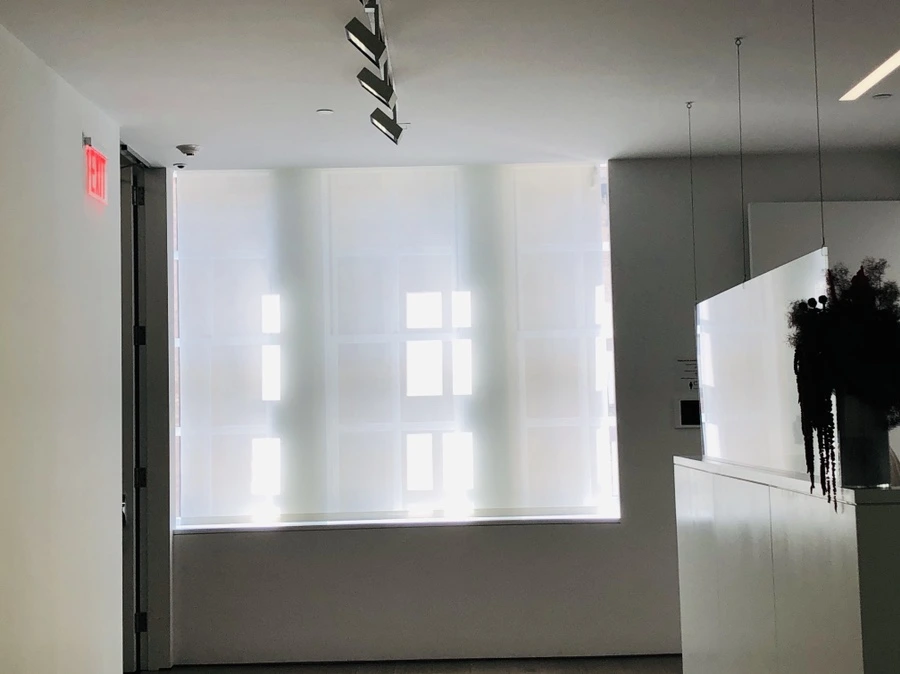 IMG_5964.jpg?type=w966